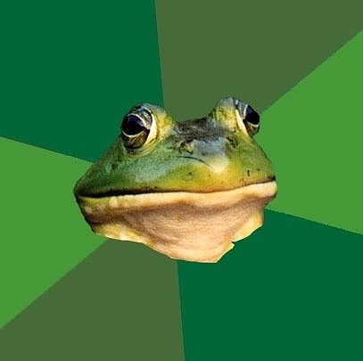 Грязнуля жабе-холостяк
